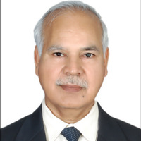 Prof. M. S. Nathawat